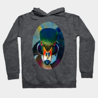 Carolina Wood Duck Hoodie